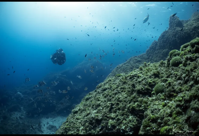 Mission Projet Sentinelle Marseille — Diving — © Karim Saari, photographe sous-marin Marseille