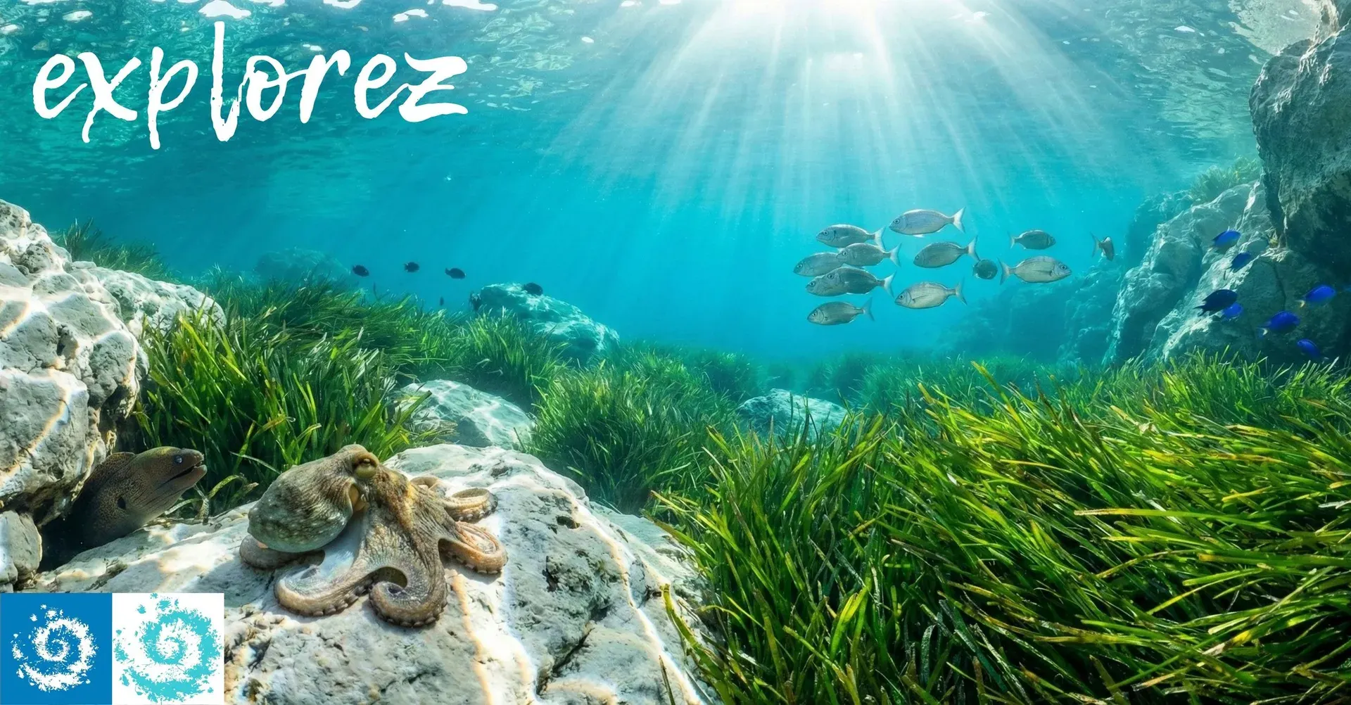 Groupe Facebook Amoureux des Calanques de Marseille à Port-Cros