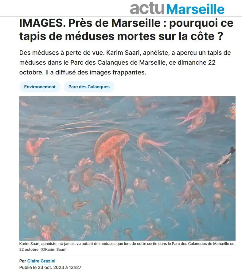 Actu.fr — Invasion de méduses près de Marseille