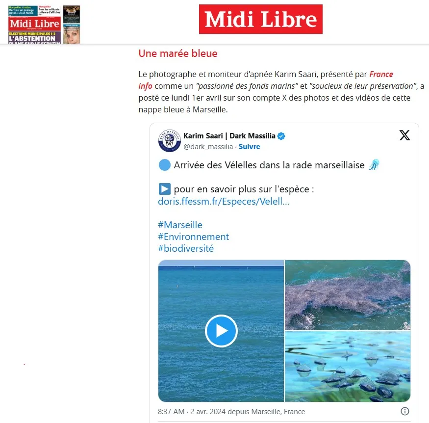 Midi Libre — Marseille : invasion de vélelles