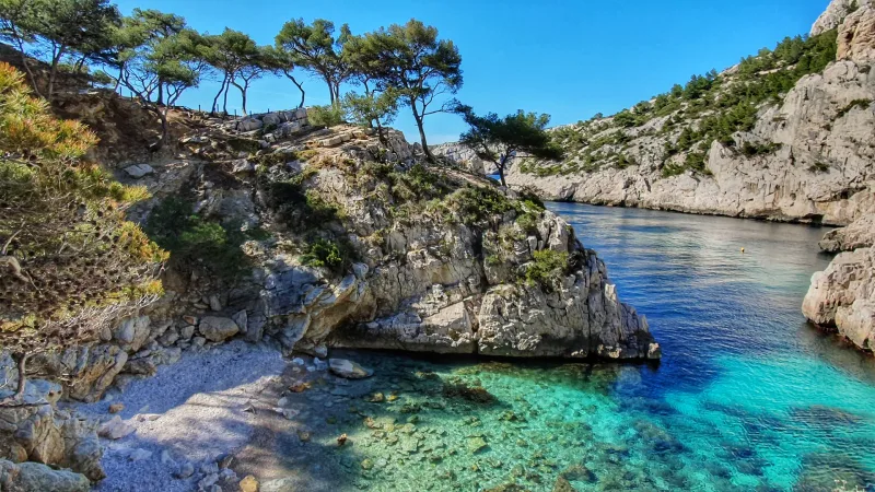Calanque sauvage avec pins méditerranéens, eau turquoise et rochers calcaires — Calanques de Marseille