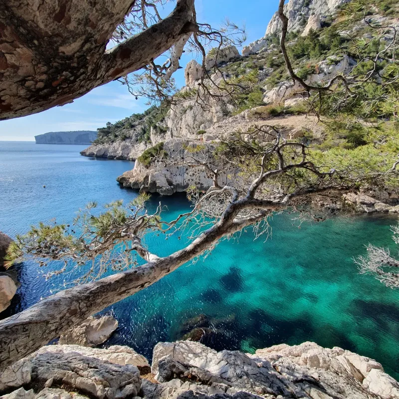 Vue depuis une grotte calcaire sur une calanque turquoise encadrée de pins et de falaises — Calanques de Marseille