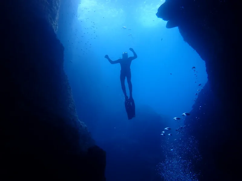 Biodiversité des fonds marins méditerranéens — Calanques de Marseille — © Karim Saari, photographe sous-marin Marseille