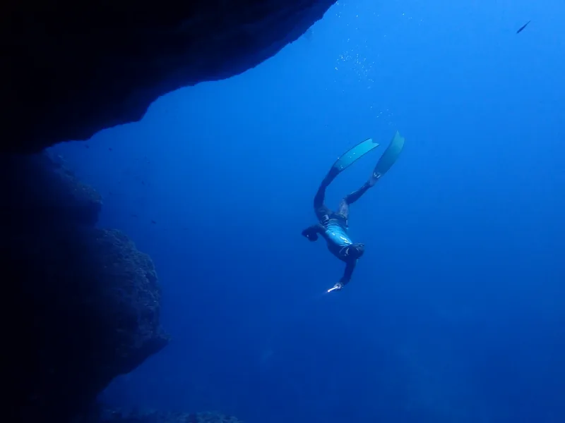 Fonds marins du Frioul — exploration en apnée — © Karim Saari, photographe sous-marin Marseille