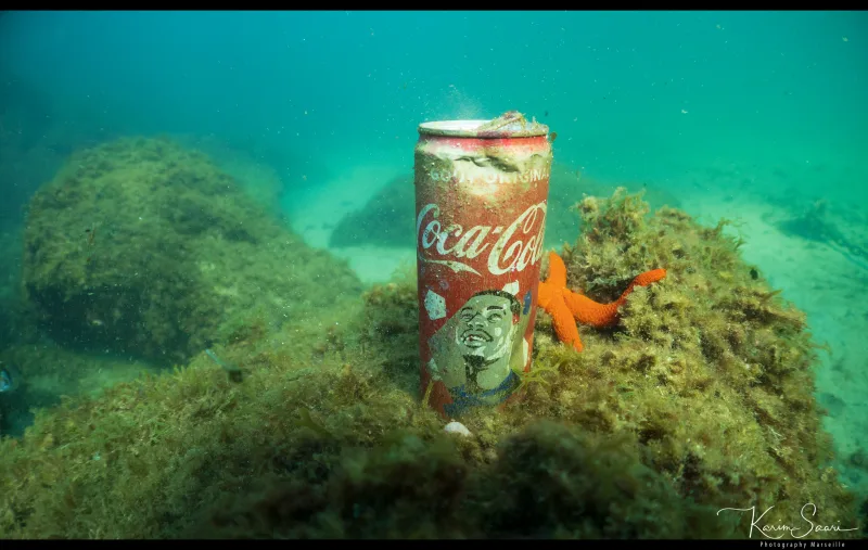Canette Coca-Cola sur algues sous-marines avec étoile de mer orange — pollution plastique — © Karim Saari, photographe sous-marin Marseille