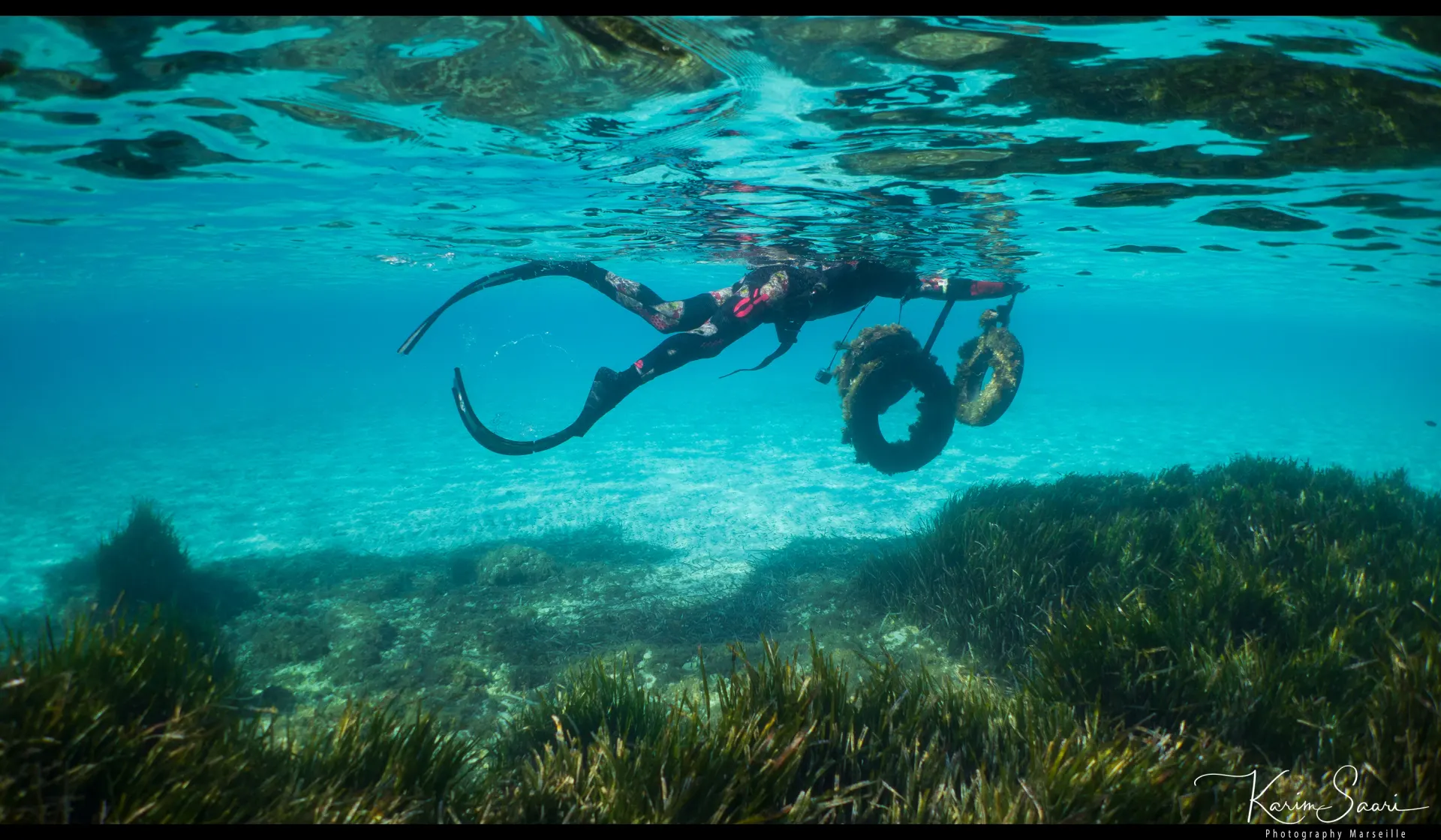 Dark Massilia — faune marine des Calanques, plongée en apnée