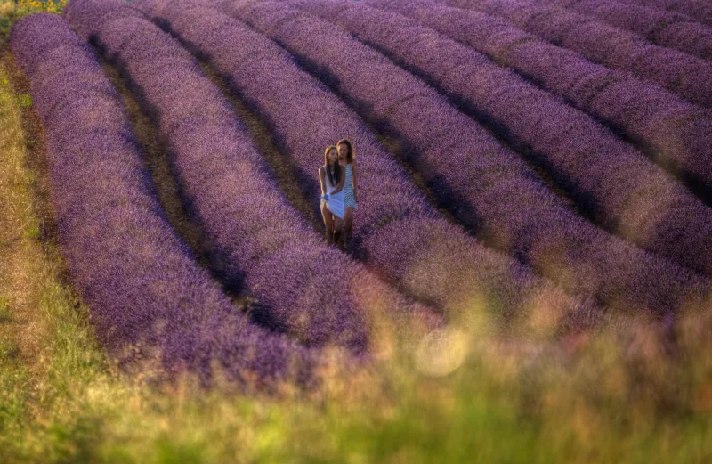 Couple enlacé au milieu d'un champ de lavande vu d'en haut — photographe Provence Karim Saari