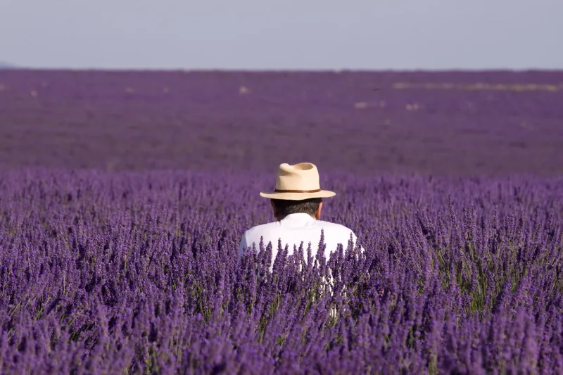 Paysage méditerranéen de Provence, nature sauvage et lumière dorée — photographe Karim Saari